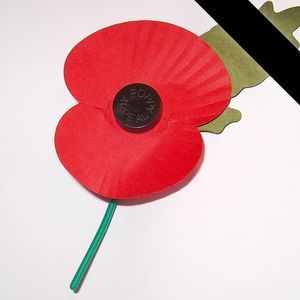 Meet your Posher, Julian